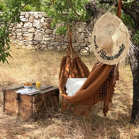 Masseria Abbracciavento - Private Pool By Hdsalento Farm stay *